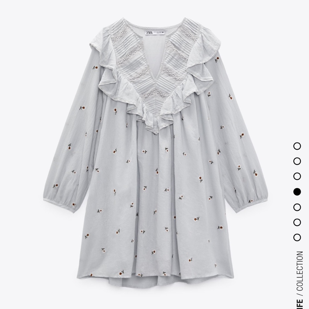 Zara long sleeve mini dress